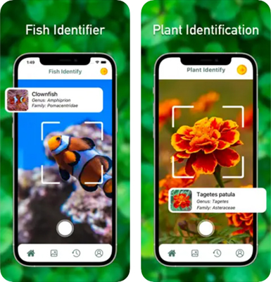 FishVerify aplicativos identificar peixes