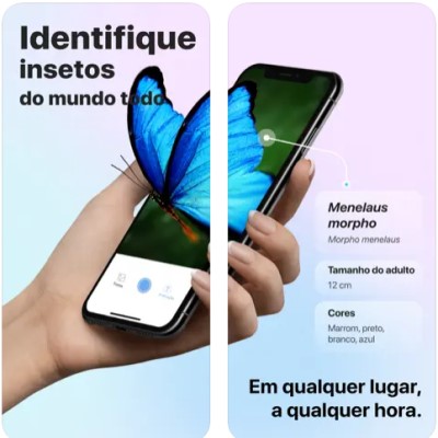 Os Melhores Aplicativos para Identificar Insetos