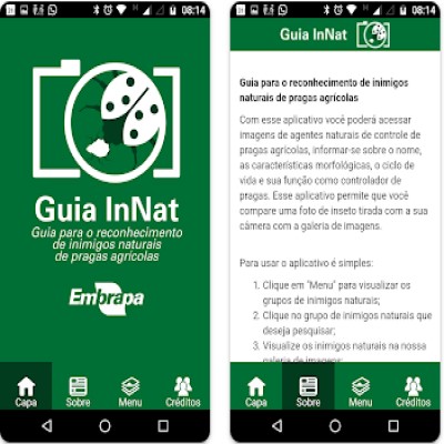Os Melhores Aplicativos para Identificar Insetos
